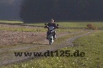 DT Bild