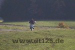 DT Bild