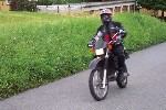 DT Bild