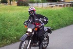 DT Bild