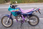 Dominator
