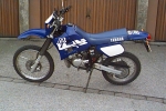 DT Blue