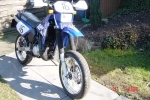 DT Blue 2